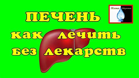 Вылечить печень без таблеток. - YouTube
