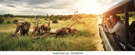 806836 Wild People Images Stock Photos And Vectors Shutterstock