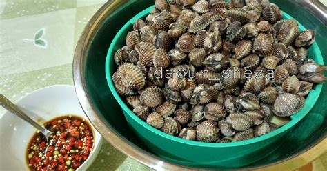 Resep Kerang Dara Rebus Oleh Enik Suhartina Cookpad