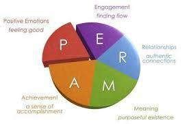 The Perma Model Seligman This Image Represents Martin