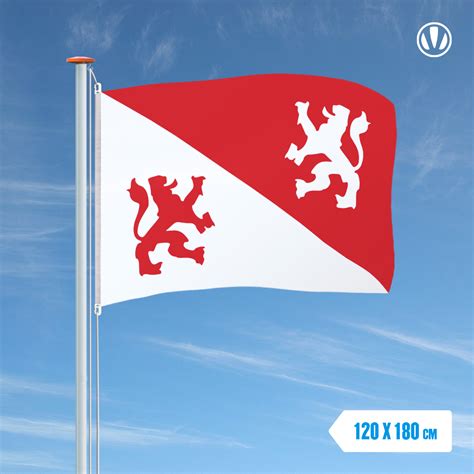 Vlag Koog Aan De Zaan 120x180cm Alleen Bij De Vlaggenclub