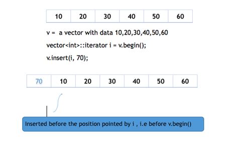 Introduction To Vector Container In STL C Tutorial Studytonight