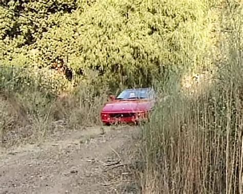 Astonishing Blonde French Babe Assfucked In Nature Amateur Porn XHamster