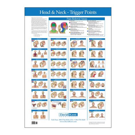 Trigger Point Therapy Chart