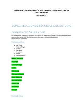 Construcción y operación de centrales hidroeléctricas generadoras PDF