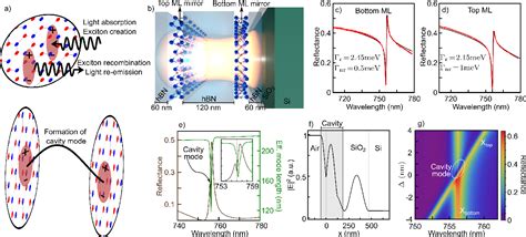 Figure From Chiral Optical Nano Cavity With Atomically Thin Mirrors