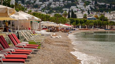 Strand Von Bodrum In Stadtzentrum Von Bodrum Touren Und Aktivitäten