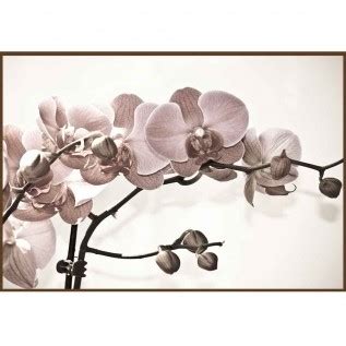 Quadro Decorativo Flores Em Canvas AGFL078