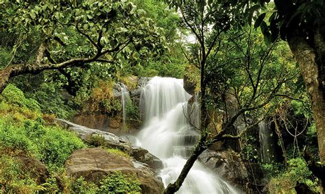 7 Waterfalls In Wayanad You Wont Want To Miss In 2025