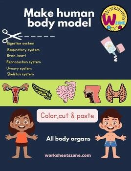 Color Cut And Paste Digestive System Human Size Model Colored And B W