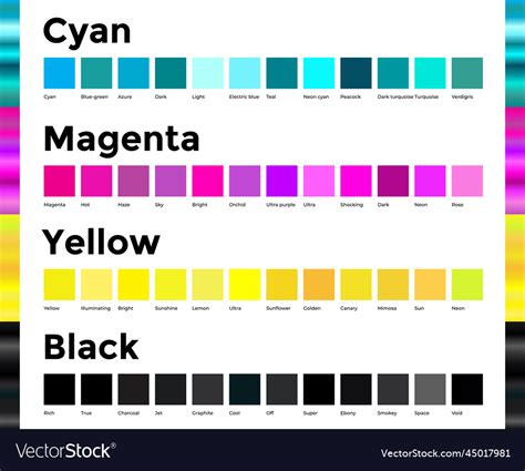 Cyan Magenta Yellow And Black Cmyk Color Shades Vector Image