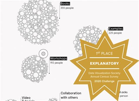 2020 Census Survey — Data Visualization Society