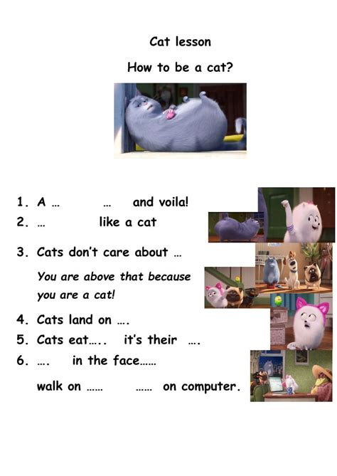 Secret Life Of Pets Cat Lessons Worksheet Lesson Secret Life Secret