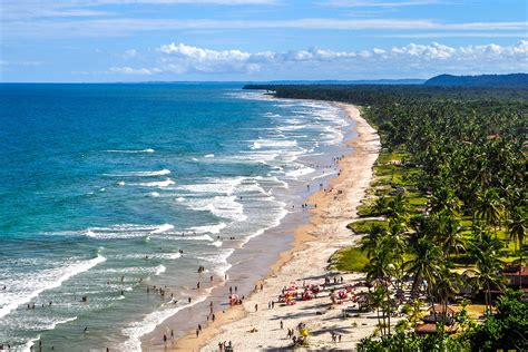 Ilhéus O que você precisa saber para planejar a sua ida a Ilhéus Go