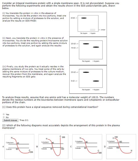 Solved Consider an integral membrane protein with a single | Chegg.com 
