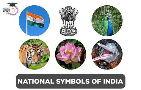 List of National Symbols of India with Name and Significance 
