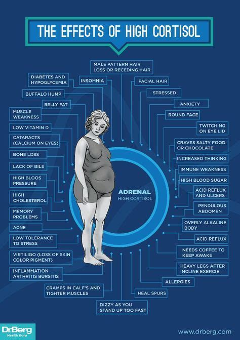 Dr Bergs Infographic The Effects Of High Cortisol