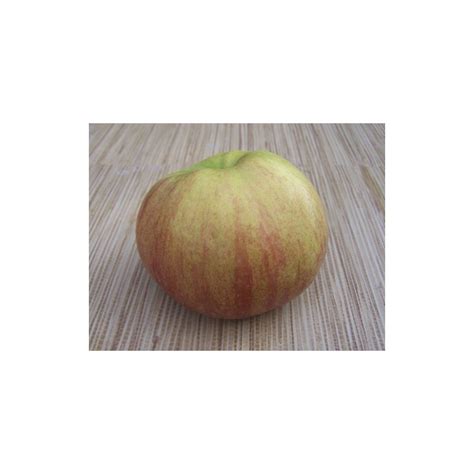 Фаворит Вильямса