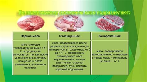 Классификация продовольственных товаров и требования к качеству - YouTube