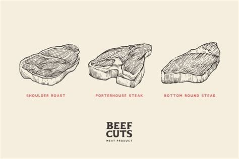 6 Cuts Of Beef Diagram ImrySayyid