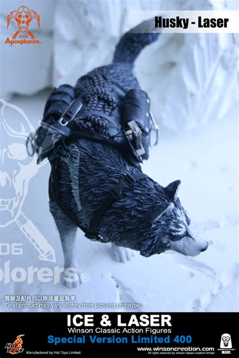Toyhaven Winson Classic Creation X Hot Toys Apexplorers Ice Laser Action Figure Special