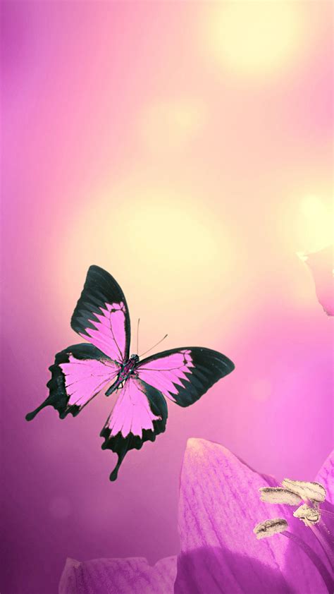 Monarch Butterfly Aesthetic Wallpapers Wallpaper Cave 958