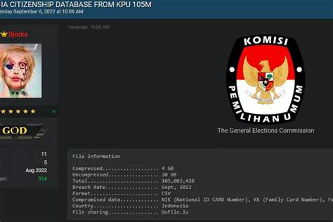 Mengenal Bjorka Hacker Yang Bocorkan Data Penduduk Indonesia Di Forum