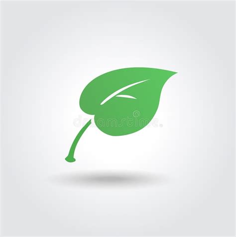 L Icona Di Eco Con La Foglia Verde Vector Il Bio Segno Illustrazione