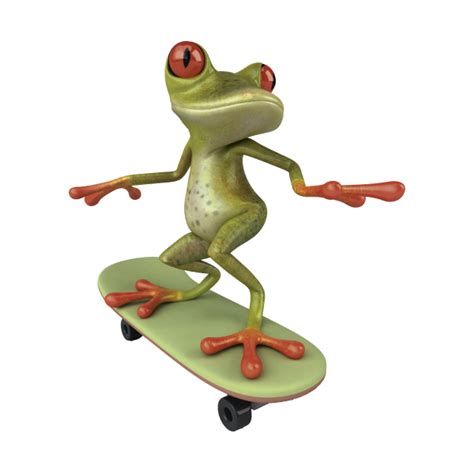 Frog On Skate Board Ranas Divertidas Animales Divertidos Ranas