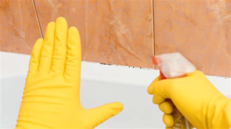 How To Remove Mold And Mildew From Walls Clothes And More