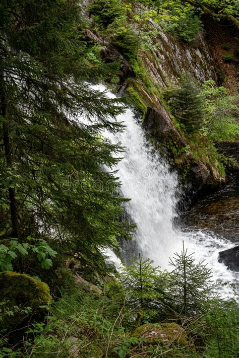 Vertical Shot Of The Magnificent Triberg Waterfall In The Black Forest