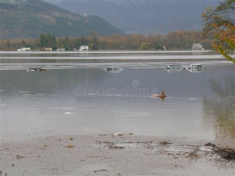 Washington State Flooding - Completely Surrounded by Water Editorial ...