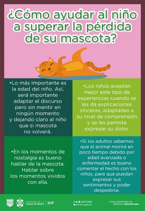 Dif Ciudad De M Xico On Twitter Te Compartimos Algunos Consejos Para