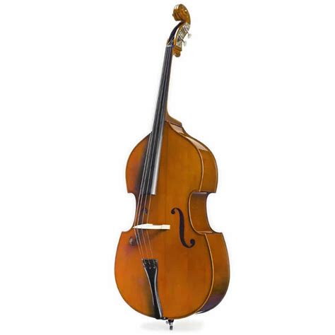 Upright Double Bass Solid Top Back And Sides 3 4 Size Dm Audio Ltd