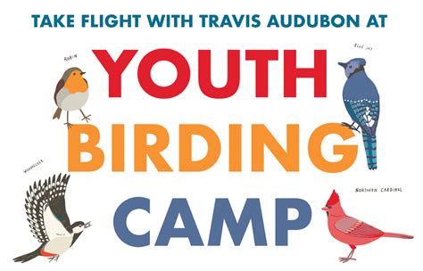 Youth Birding Camp Travis Audubon