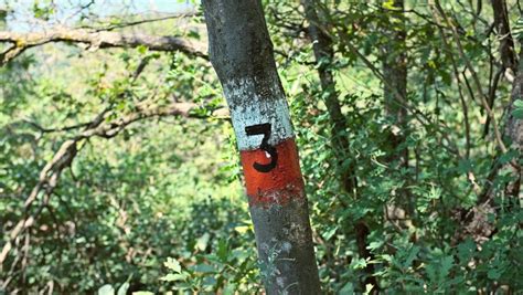 sentiero 3 bosco 18 sentieri curiosità informazioni sul Monte