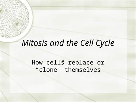 Ppt Mitosis And The Cell Cycle How Cells Replace Or Clone