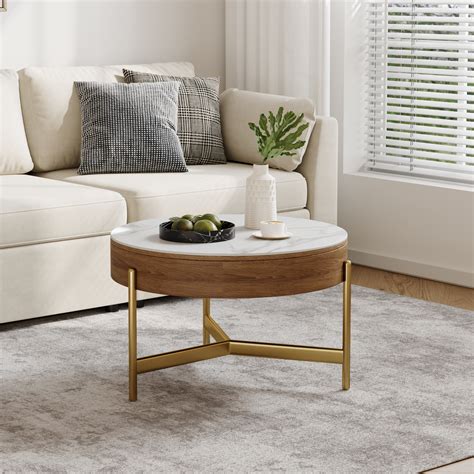 Brayden Studio Caeleb Modern Round Lift Top Coffee Table With Storage