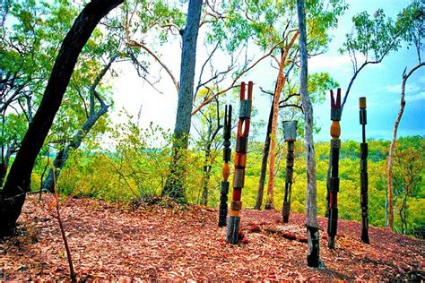 2023 Tiwi Islands Cultural Experience From Darwin Including Ferry