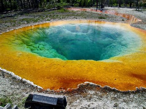 Morning Glory Pool Hot Spring Yellowstone National Park Usa ~ Great Panorama Picture