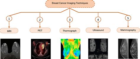 Various breast cancer imaging techniques | Download Scientific Diagram