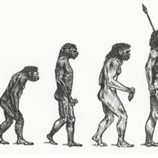 Cycle of evolution of 'Homo Sapiens' | Download Scientific Diagram