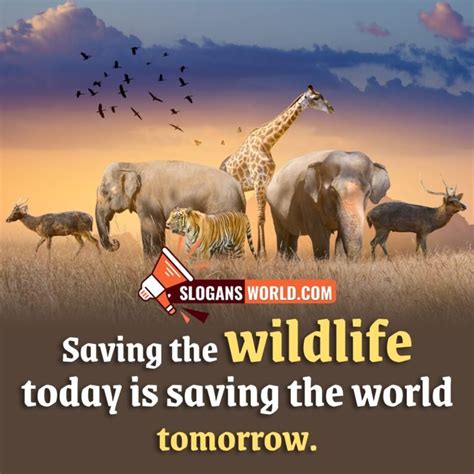 Slogans On Save Wildlife Slogans World