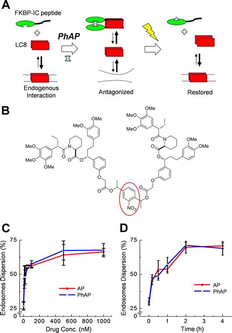 Molecular Trapping Uses The Chemically Induced Dimerization Of FKBP To