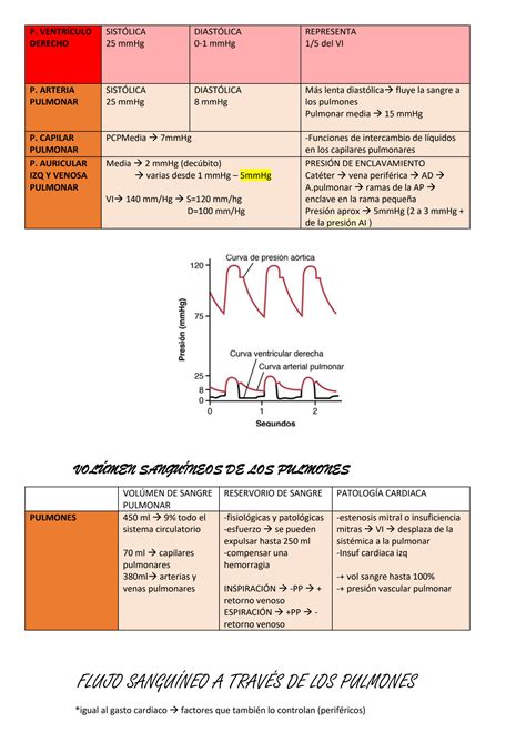 SOLUTION Resumen De Fisiolog A Seg N Guyton Circulacion Pulmonar Edema