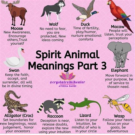 How To Find Your Spirit Animal The Complete Guide Artofit