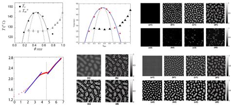 Phase Separation Dynamics of Polymer Systems Douglas Zhou 周栋焯