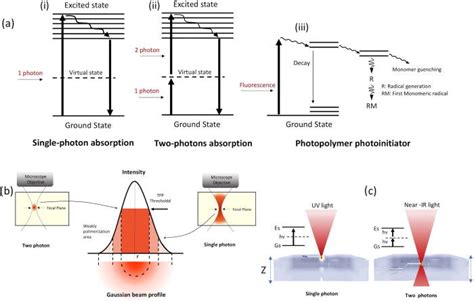 A Single Photon And Two Photon Absorption Processes B Gaussian Download Scientific Diagram