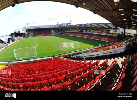 Watford Stadium : Watford FC - Cole JarmanCole Jarman : The stadium is ...