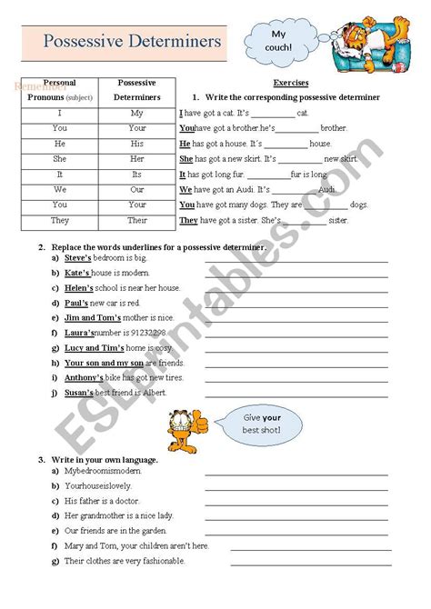 Possessive Determiners Worksheet